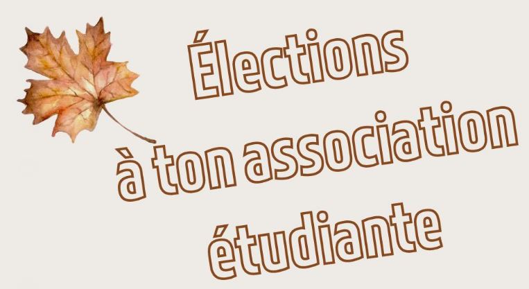 Élections du Conseil de programmes