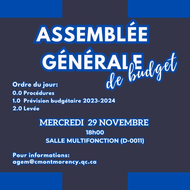 Assemblée générale de budget